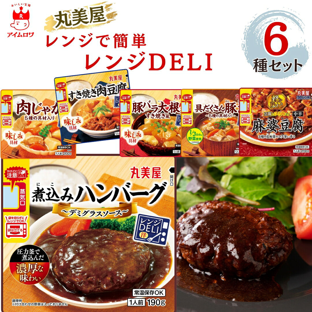 丸美屋 レンジDELI6種アソート(各1袋・計6袋)