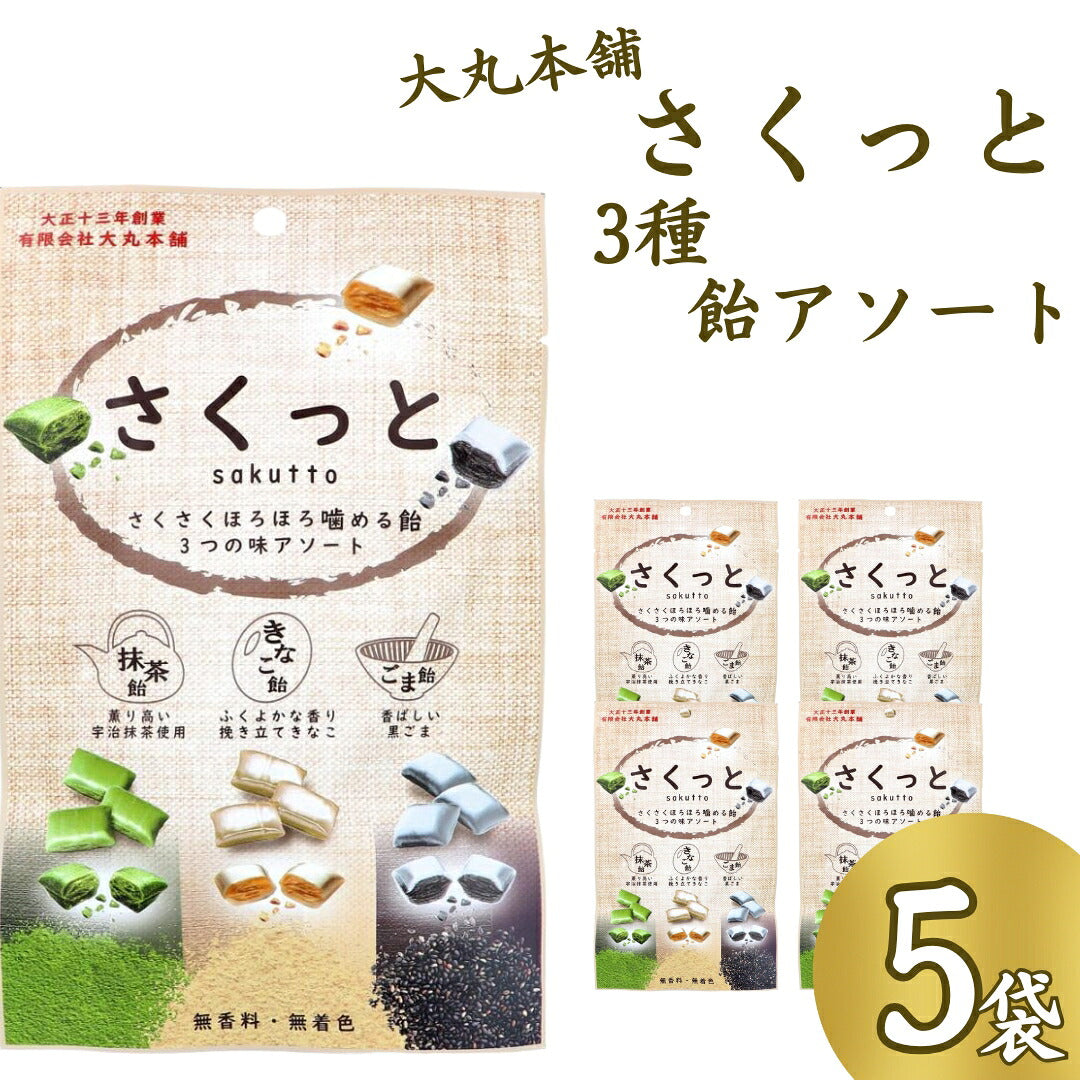 大丸本舗 さくっと3つの味アソート（計5袋）