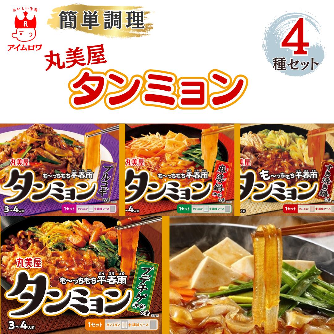 丸美屋 タンミョン4種アソート（各1袋・計4袋）
