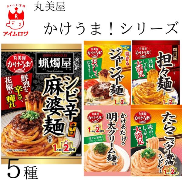 丸美屋 かけうま麺用ソース 5種アソート（計5パック）