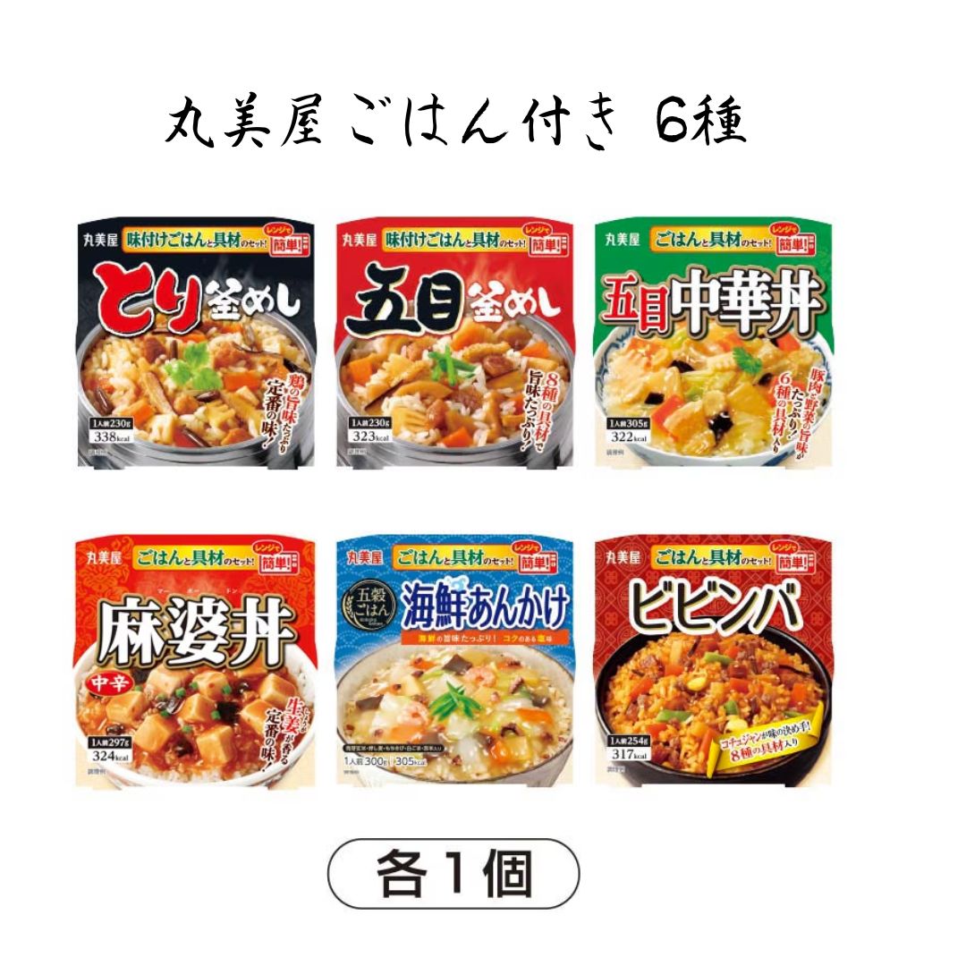 丸美屋 ごはん付きシリーズ6種アソート（計6食）