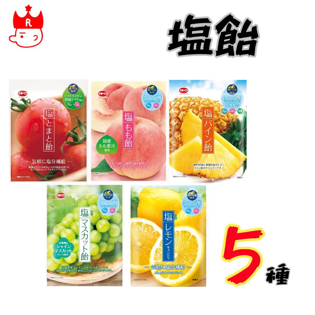 加藤製菓 塩飴5種アソート（各1袋・計5袋）
