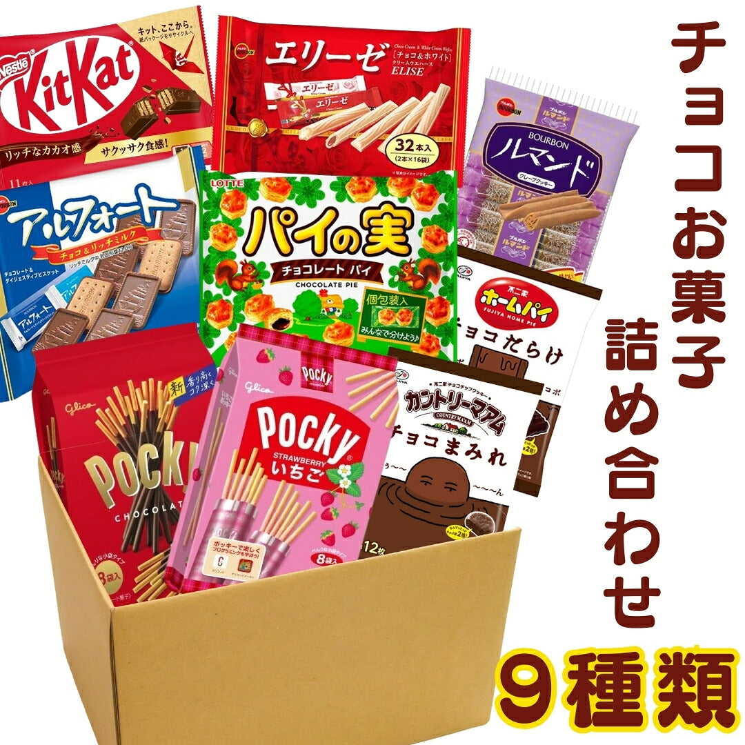 チョコレート菓子9種アソート