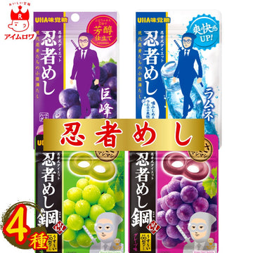 UHA味覚糖 忍者めし 4種食べ比べ（各1袋・計4袋）
